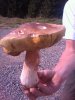 IMAG_0189.jpg