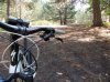 DSCN0347.jpg