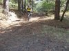 DSCN0354.jpg