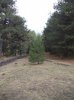 DSCN0366.jpg