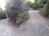 Foto0316.jpg
