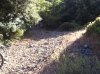 Foto0330.jpg