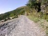 PIC_0274.jpg