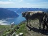 venini ott 2010 025.jpg