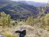 PIC_0356.jpg