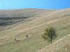 venini ott 2010 036.jpg