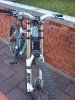 IMAG_0198.jpg