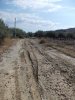 DSCN0478.jpg