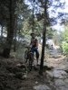 pineta (2).jpg