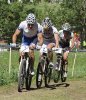 Absalon_Schurter_Fluckiger.jpg