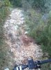 IMG-20111021-00128.jpg