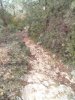 IMG-20111021-00129.jpg