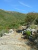 DSCN6252.jpg