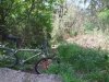 DSCF1753.jpg