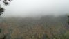 100_1060.jpg