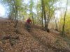 Pistini 1-11-11 005.jpg