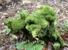 DSCN0679.jpg