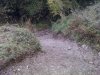 Foto-0002.jpg