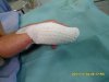 SDC12105.jpg