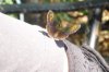 DSC01752.jpg