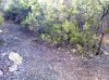 Foto0003.jpg