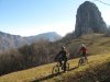 bk- resinelli1111 023.jpg