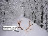 neve.jpg
