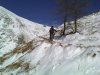IMG01381-20111221-1254.jpg