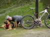 DSC00534.jpg