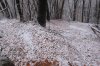 IMG_0756.jpg