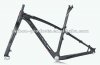 winspace-29er3.JPG