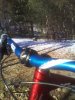IMG_20120108_115942.jpg