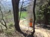 jump after start.jpg