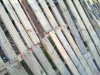 20120111_003.jpg