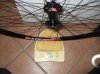 Ant Crest Novatec 800 800.jpg