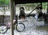 DSCN2084.jpg
