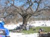 IMG_0680.jpg