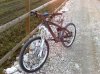 26012012293.jpg
