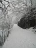 DSCN0255.jpg