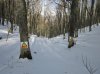 IMG_0860_small.jpg