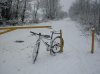 SDC10172.jpg