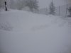 DSC02010.jpg