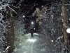 nevicata feb 2012 007.jpg