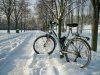 nevicata feb 2012 013.jpg
