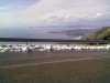 05022012256.jpg
