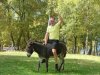 DSCF4933.jpg
