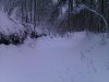 IMAG0064.jpg