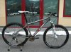 roby-bike.jpg