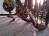IMG-20120212-00039.jpg
