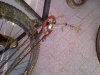 IMG-20120212-00041.jpg